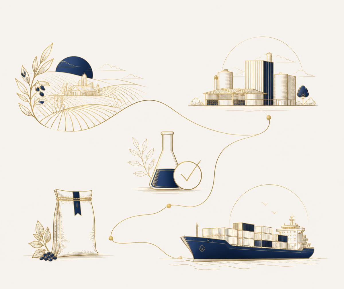 Illustration of the sourcing journey from farm to processing, quality testing, packing and shipment